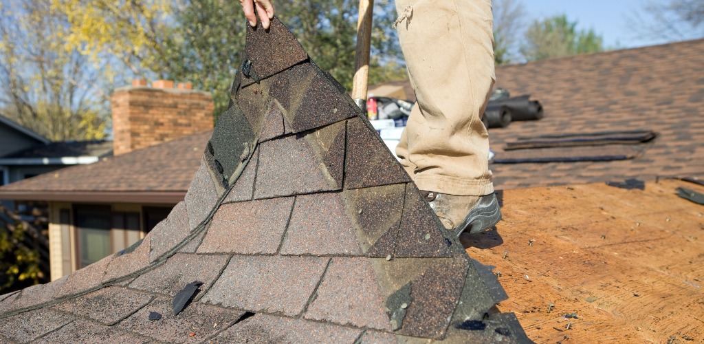 tearing off old asphalt shingles from a roof deck